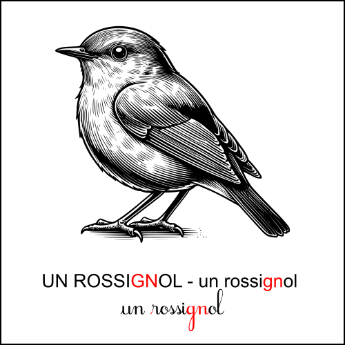 rossignol
